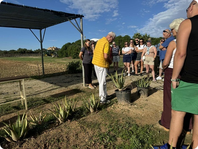 f7eefaed-a473-4d9d-b110-97b29d065cc8