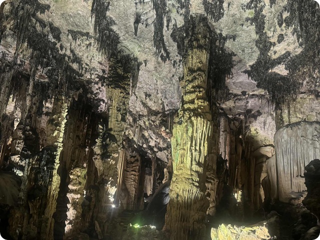 ff1b3a60-e180-478a-9bea-feaaf4a302c1