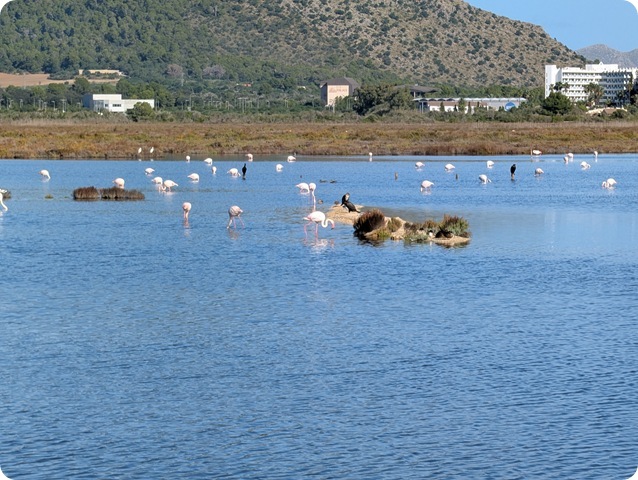 PXL_20251024_090741186