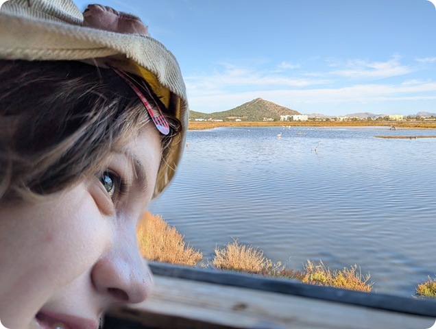 PXL_20251024_091316237-mix