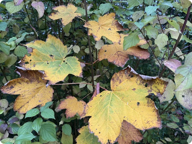 db512005-bec9-414a-98de-1bec6f4b63b5