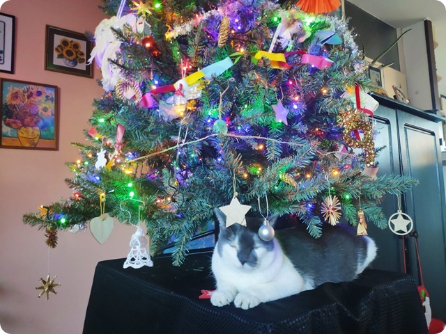 WhatsApp Image 2025-12-25 at 18.26.56