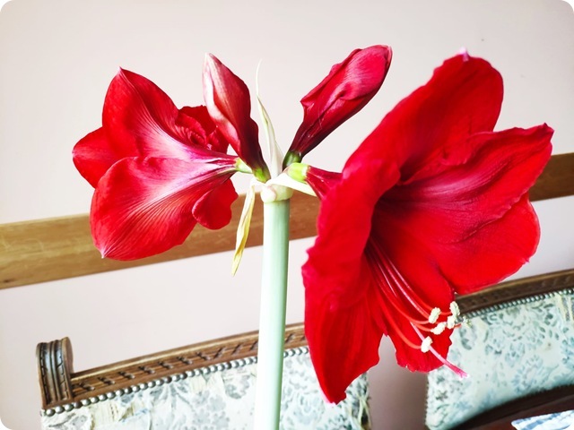 WhatsApp Image 2025-12-25 at 18.27.23