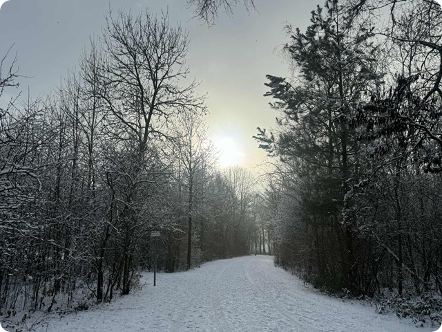 93857254-2422-46e5-9dad-1056b55898c2