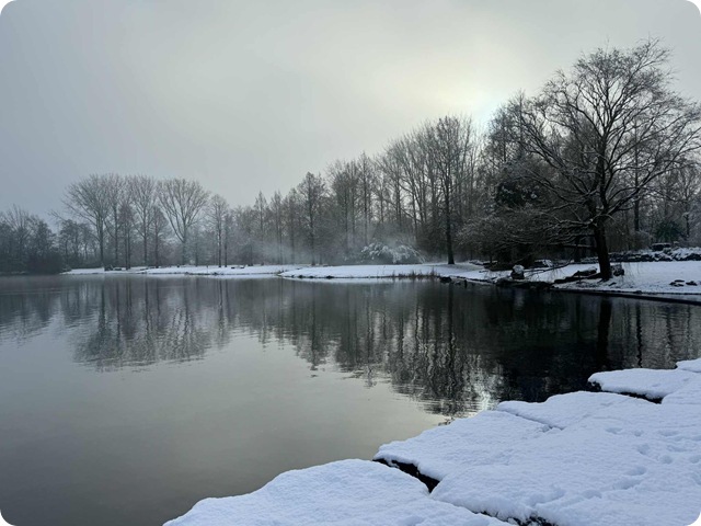 d3ff333d-5992-4cf8-a994-44ea921ed771