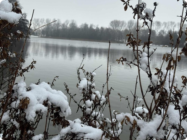 ef46d399-9554-4b07-83ce-0617f2950ba0