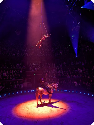 PXL_20260103_164411811.MP