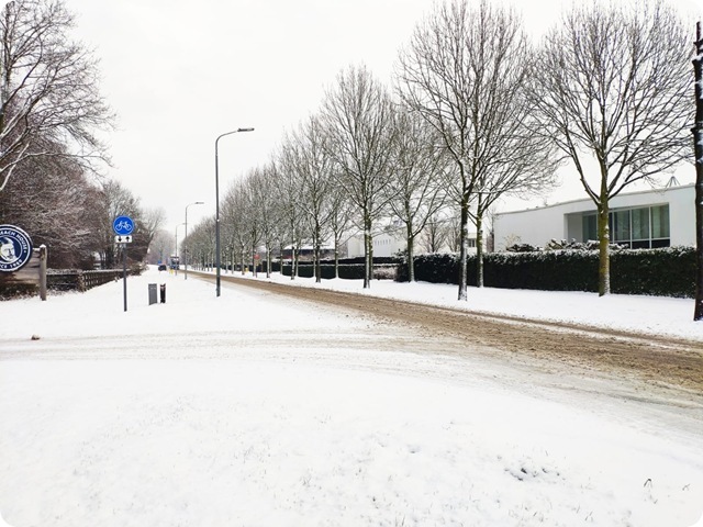 WhatsApp Image 2026-01-07 at 21.05.46