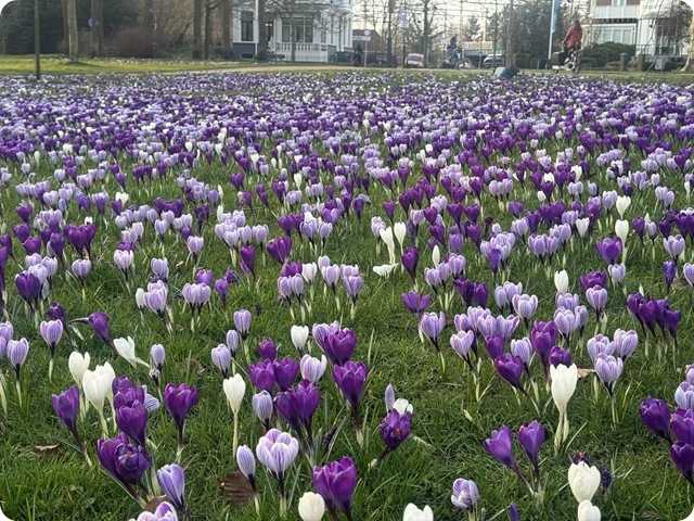 20c143d0-2f1b-4028-998d-7f00ed7c628f