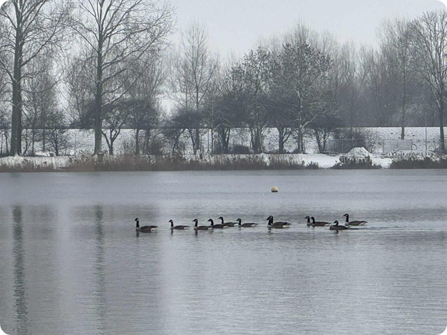 27c25a1a-e4b7-4773-8cee-6ca7ba99a7e2