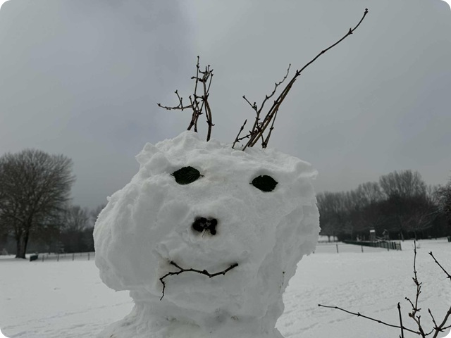 d2907b1d-48f1-4d74-8455-874e91194174