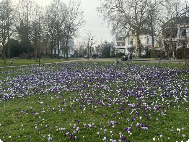 f895d8c5-f7f0-4a03-b7d8-cc8cb79efb9e