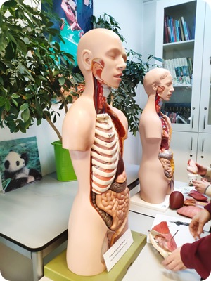 WhatsApp Image 2026-02-19 at 17.18.07