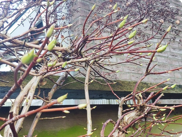 WhatsApp Image 2026-03-03 at 17.45.31