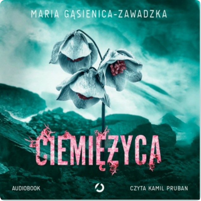 WhatsApp Image 2026-03-03 at 21.22.32