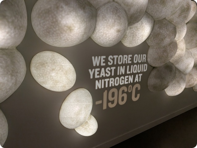 PXL_20260621_084523377.MP
